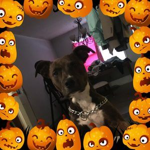 Meet your Posher, William